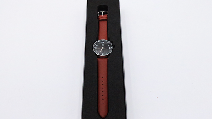 SB Watch 2 (2024) Noir Silver Three