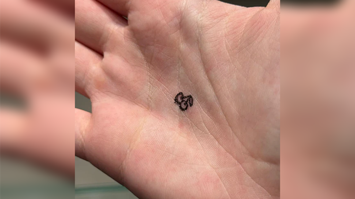 Cherries Stamp